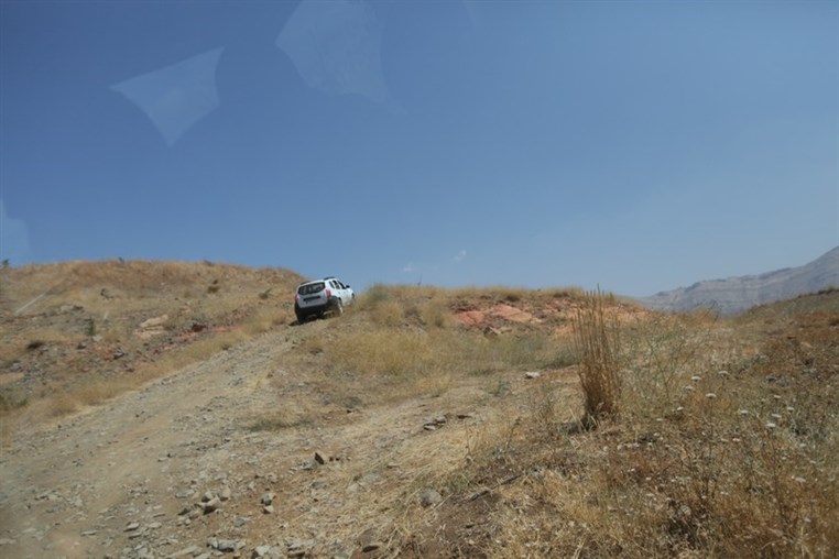 Media Day at Doctor Nizar Younes Ranch